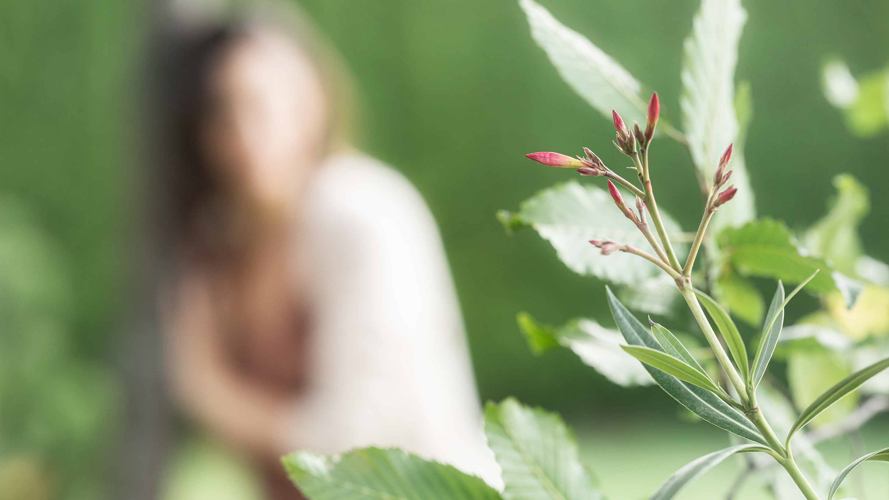 Ein verschwommener Hintergrund indem sich eine Frau gegen einen Baum lehnt. Im Vordergrund befindet sich ein Ausschnitt eines Strauches.